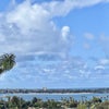 Photo 5: Mission Bay