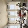 Photo 4: Living room