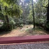 Photo 3: Backyard