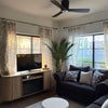 Photo 6: Living room