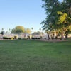 Photo 8: Community Pool