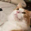 Photograph of Rubi