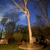 Photo 2: backyard on Stony Rd Ext