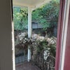 Photo 7: Front porch covered in Jasmine