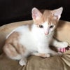 Photograph of Jazzy