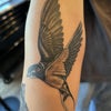 Photo 2: Tat I did