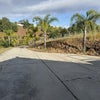 Photo 4: driveway