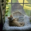 Photograph of Kyna 