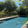 Photo 3: pool