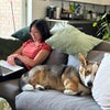 Photo 5: pet sitting and wfh with the roommie