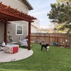 Photo 3: Backyard