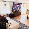 Photo 8: Livingroom