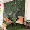 Photo 6: Sunroom
