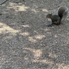Photograph of Radhika