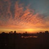 Photo 2: SUNRISE 