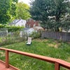 Photo 4: Backyard