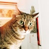 Photograph of Chloe