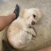 Photo 7: BUDDY!!!