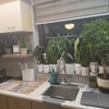 Photo 8: Kitchen1