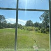 Photo 4: Room window view