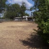 Photo 7: Large Fenced Backyard
