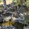 Photo 5: large yard fountain 