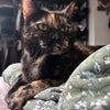 Photo 6: Maisey