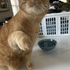 Photo 4: Oliver