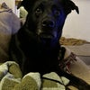 Photo 9: Mabel