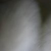 Photograph of choco