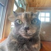 Photograph of Sophia 