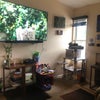 Photo 8: Upstairs living room