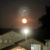Photo 9: Good picture of the moon