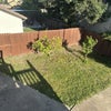 Photo 5: Backyard 