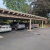 Photo 5: Covered carport