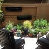 Photo 7: Patio