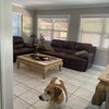 Photo 9: TV Room and Dog