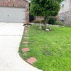 Photo 9: front of the house