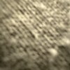 Photograph of Skyra