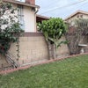 Photo 3: Garden