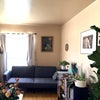 Photo 8: Living room