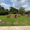 Photo 5: Spacious Backyard