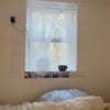 Photo 7: room available (see video)