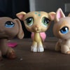 Photograph of Wolfgirl793