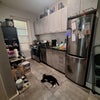 Photo 6: Kitchen