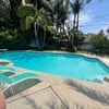 Photo 6: Pool