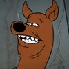 Photograph of Scoobert