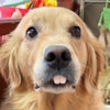 Photograph of chloe
