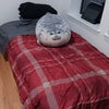 Photo 8: My bedroom