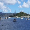 Photograph of Cali